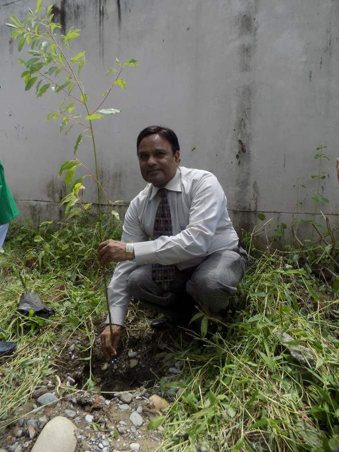 Image of Urja Yog Foundation Organized Plantation Program on Aug 23, 2016 की छवि