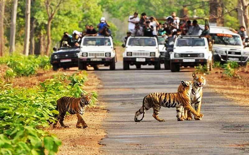 Rajaji National Park